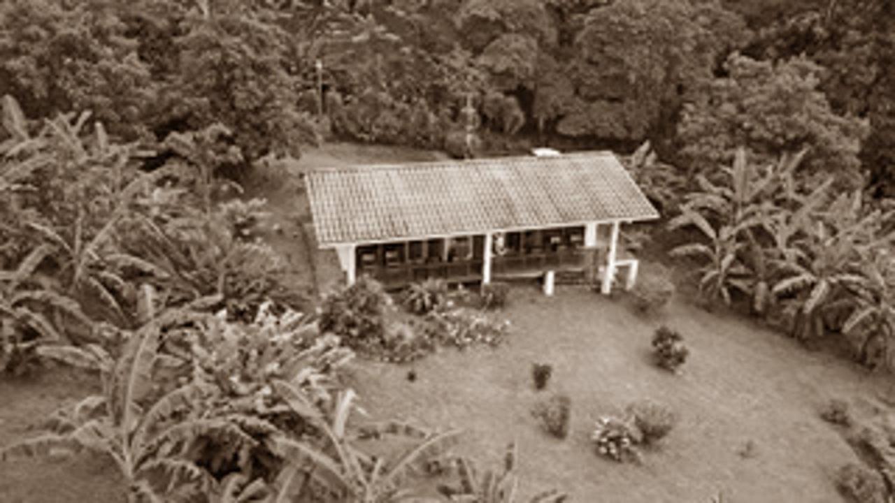 Ceiba Tree Lodge Mata de Cana Exterior photo